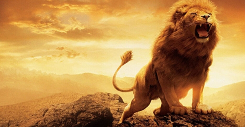 Sư tử được mệnh danh là chúa tể muôn loài